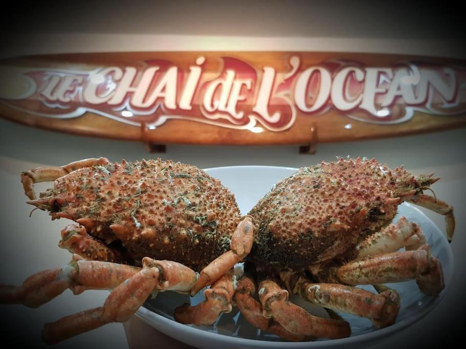 Le Chai de l'Océan Soulac-sur-Mer Exterior foto